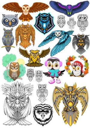 Diverse Owl Vector Illustrations Collection Free Vector