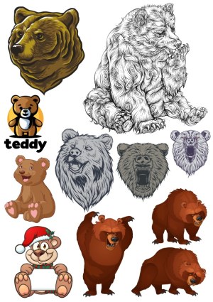 Collection of Bear and Teddy Bear Vector Illustrations Free Vector