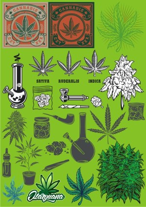 Cannabis Plant, Leaves, and Accessories Vector Set Free Vector