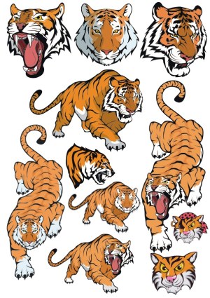 Collection of Aggressive and Calm Tiger Vector Illustrations Free Vector
