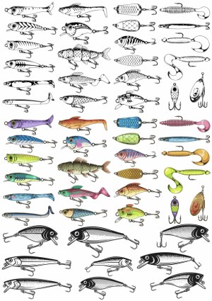 Collection of Various Fishing Lure Vectors in Color and Black Line Art Free Vector