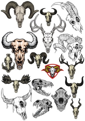 Collection of Animal Skull and Horn Vector Illustrations Free Vector