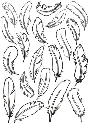 Black Outline Feather Vector Set Free Vector