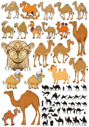 Various Cartoon and Silhouette Camels Vector Set Free Vector