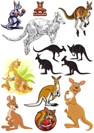 Kangaroo Vector Collection with Various Styles and Poses Free Vector