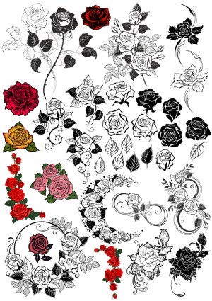 Decorative Rose Vector Collection in Various Styles and Colors Free Vector