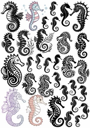 Collection of Seahorse Vector Illustrations Free Vector