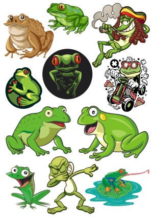 Cartoon and Realistic Frog and Toad Vector Collection Free Vector