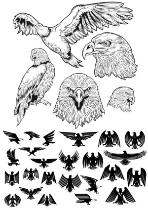 Vector Eagle Illustrations and Silhouettes Collection Free Vector