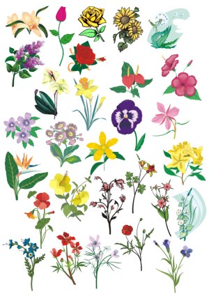 Collection of Diverse Colorful Vector Flower Illustrations Free Vector