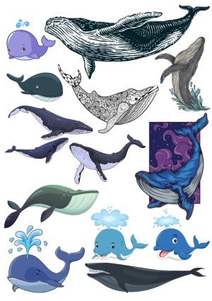 Collection of Diverse Whale Illustrations in Various Styles Free Vector