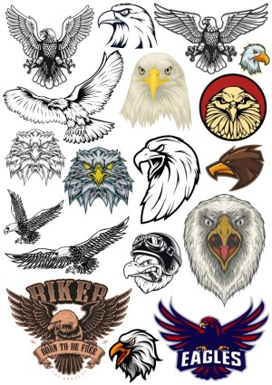 Collection of Detailed Eagle and Hawk Vector Illustrations and Logos Free Vector