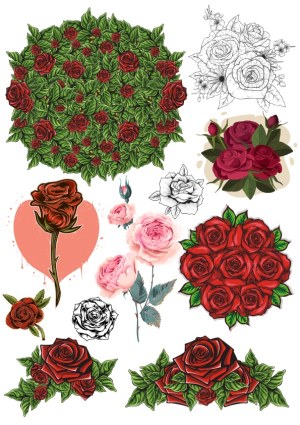 Collection of Red and Pink Rose Vector Illustrations Free Vector