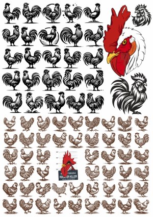 Various Rooster and Chicken Silhouette and Detailed Vector Illustrations Free Vector