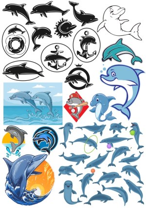 Diverse Dolphin Vector Collection with Black and Colorful Designs Free Vector