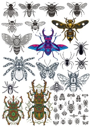 Detailed Vector Insect and Spider Illustration Collection Free Vector
