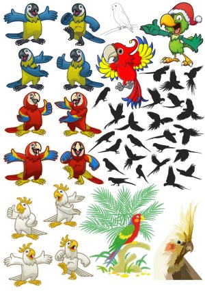 Collection of Cartoon and Silhouette Parrots and Tropical Birds Free Vector