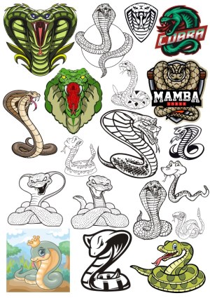 Cobra and Mamba Snake Vector Collection Free Vector