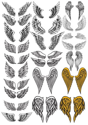 Collection of Black and Gold Stylized Vector Wings Free Vector