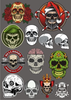 Stylized Skull Collection with Various Themes and Accessories Free Vector