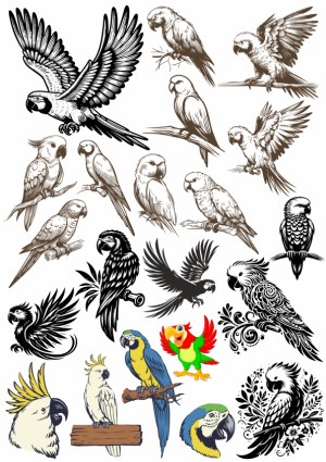 Collection of Parrot and Macaw Vector Illustrations Free Vector