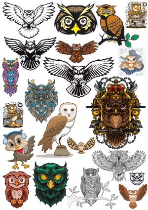 Collection of Owl Illustrations and Designs Free Vector