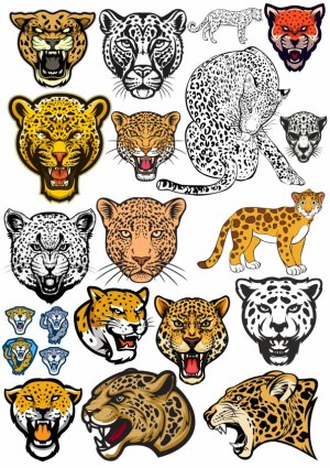 Collection of Leopard and Jaguar Vector Head Illustrations Free Vector
