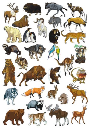 Wild Animal Vector Set with Diverse Species Free Vector