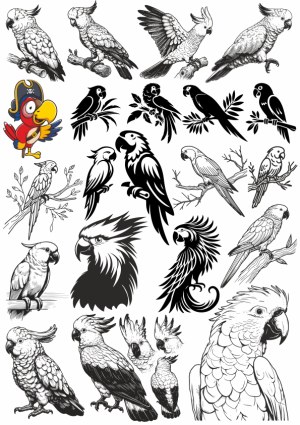 Cockatoo and Parrot Vector Collection Free Vector