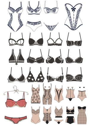 Collection of Women's Lingerie and Underwear Vector Icons Free Vector