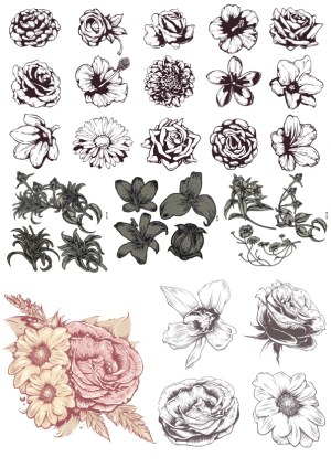 Hand-drawn Floral Vector Elements Set Free Vector