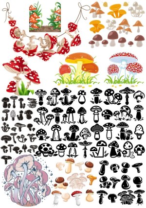 Variety of Mushroom and Fungi Vector Illustrations Free Vector