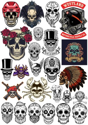 Collection of Diverse Skull Vector Illustrations with Various Themes Free Vector