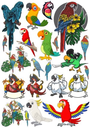 Colorful Parrot and Macaw Vector Collection Free Vector