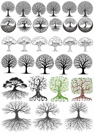 Collection of Stylized Tree Vector Illustrations with Roots and Branches Free Vector