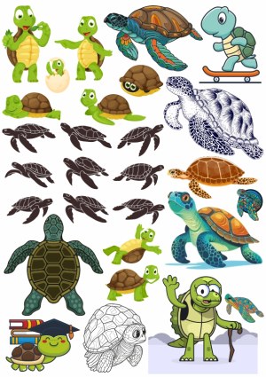 Collection of Turtle and Tortoise Vector Illustrations in Various Styles Free Vector