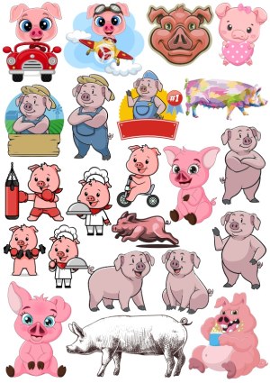 Collection of Cute and Cartoon Pig Illustrations Free Vector