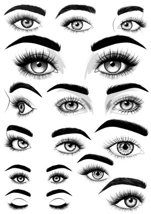 Collection of Hand-Drawn Female Eyes and Eyebrows in Black and White Free Vector