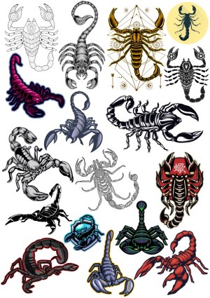 Collection of Stylized Scorpion Vector Illustrations Free Vector