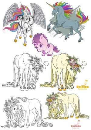 Colorful Unicorn and Pegasus Vector Collection with Floral and Rainbow Elements Free Vector