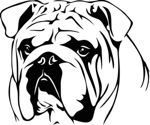 Black and White Bulldog Vector Portrait Free Vector