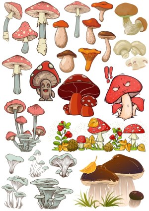 Collection of Various Hand-Drawn Mushroom and Fungi Illustrations Free Vector