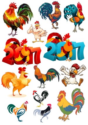 Colorful Rooster and Chicken Vector Illustrations Set Free Vector