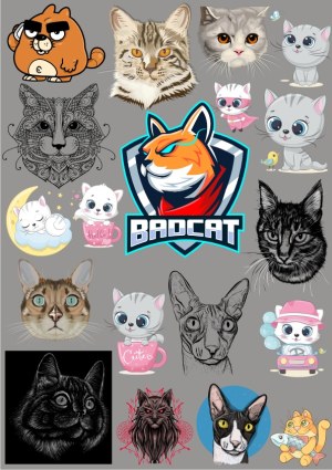 Collection of Diverse Cat Illustrations and Designs Free Vector