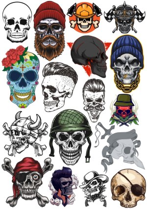 Diverse Stylized Skull Illustrations Collection Free Vector