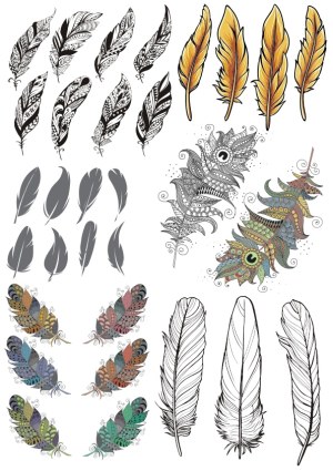 Decorative Feather Vector Collection with Varied Styles and Colors Free Vector