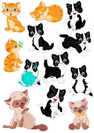 Cute Cartoon Cat Characters in Various Poses Free Vector