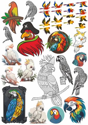 Collection of Colorful and Detailed Parrot and Cockatoo Vector Illustrations Free Vector
