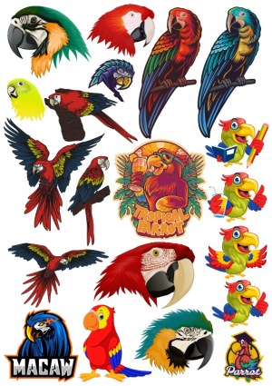 Collection of Colorful Macaw and Parrot Vector Illustrations Free Vector