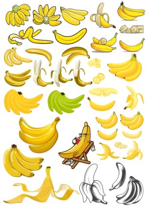 Banana Vector Collection Featuring Different Stages and Styles Free Vector